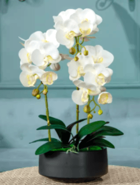 artificial orchid 1A